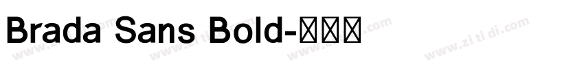 Brada Sans Bold字体转换